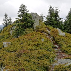 Vladimír Grančay on the summit of Mariańskie Skały (4.8.2025 13:16)