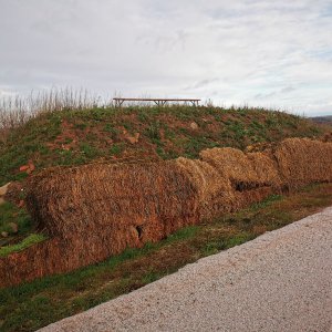 Jiří Králík na vrcholu Bukvice (24.11.2023 13:59)