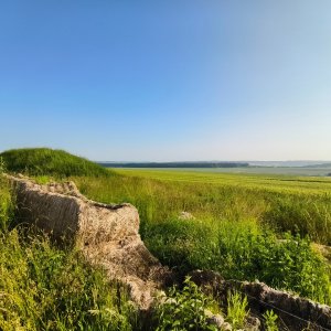 Jiří Králík na vrcholu Bukvice (12.6.2025 7:16)