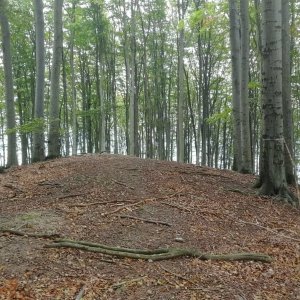 Hostýnsko-vsetínská hornatina