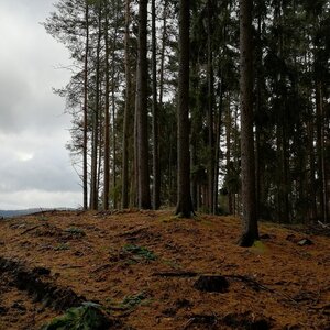 Vladimír Grančay na vrcholu Nade dvorem (14.12.2023 11:30)
