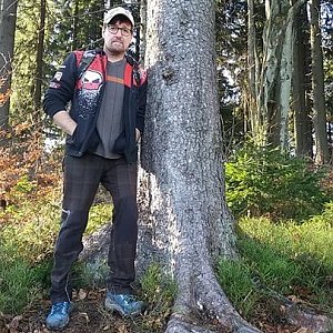 "Stray Dog" na vrcholu Čuboňov (24.11.2019 13:52)