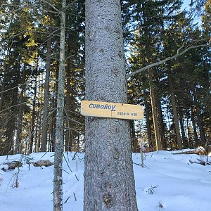 Nýdecká horalka na vrcholu Čuboňov (25.1.2020 14:05)