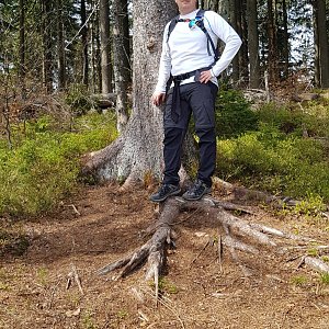 Glogi na vrcholu Čuboňov (8.5.2020 11:09)