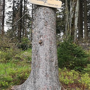 Jana Hrouzková na vrcholu Čuboňov (24.5.2021 14:54)