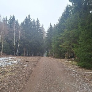 Cyklista 73 on the summit of U Lávek (24.1.2026 13:06)
