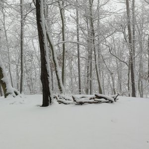 Benešovská pahorkatina