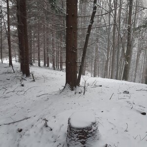 ZdenkaV on the summit of Rohatina (23.12.2023)