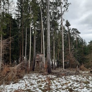 ZdenkaV na vrcholu Nad Potoky (25.12.2023 12:19)