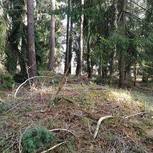 Vladimír Grančay na vrcholu Na vršku (27.12.2023 12:58)