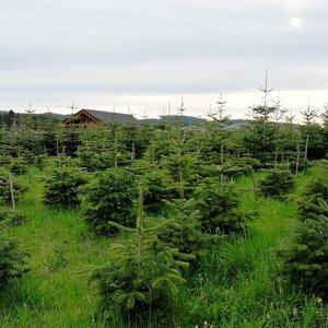 Vladimír Grančay na vrcholu Nová Hospoda (13.4.2024 18:29)