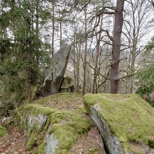 Nojby na vrcholu Bukovina - Z vrchol (13.3.2024 11:52)