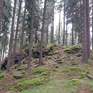 Ráďa Hojdís na vrcholu Kamenná hora (23.5.2021 22:16)