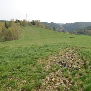 Nojby na vrcholu Kfely (8.4.2024 10:35)