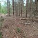 Miroslav Příhonský na vrcholu Nad Klučeninou