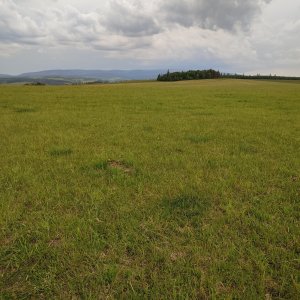 Miroslav Příhonský na vrcholu Šťáhelský vrch (31.5.2025 16:54)