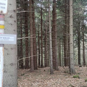 Pepino na vrcholu Průklesy (30.4.2023 11:57)