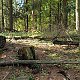 Petr Pepe Peloušek na vrcholu Okršlisko (12.10.2019 11:04)