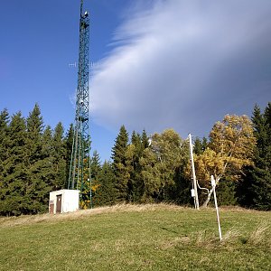 krupjan na vrcholu Stráž (15.10.2019 9:05)