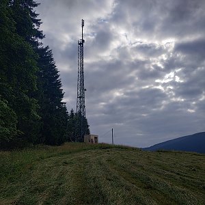 krupjan na vrcholu Stráž (22.7.2021 7:34)