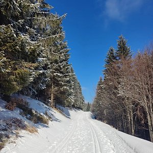 vendulka111 na vrcholu Luční vrch (8.3.2022 13:00)
