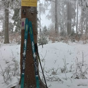 Milda on the summit of Grúniky (30.1.2026 15:12)