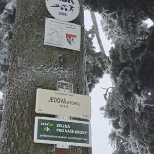 Horalka Anička on the summit of Jedová (10.12.2023)