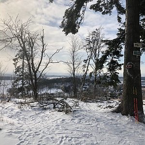 Konky na vrcholu Jedová (12.2.2021 9:35)