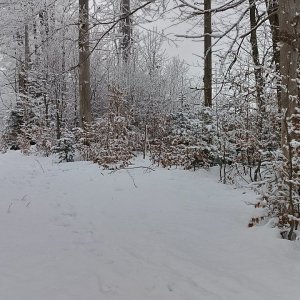 Milda on the summit of Bugaj S (31.1.2026 11:28)