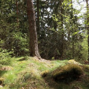 Bouřka na vrcholu Nad Lysou skálou (28.4.2024 11:45)