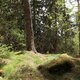 Bouřka na vrcholu Nad Lysou skálou (28.4.2024 11:45)