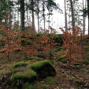 Vladimír Grančay na vrcholu Na babách (5.1.2024 11:49)