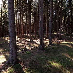 Bouřka na vrcholu Včelenský vrch (17.10.2022 11:20)