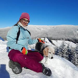 Potápečka na vrcholu Tři kameny (31.1.2021 12:31)
