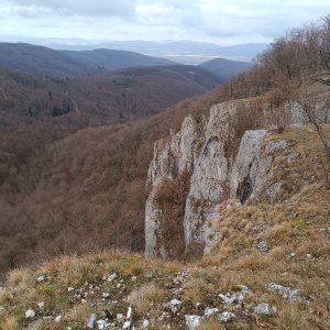 Ľuboš na vrcholu Sokolia (21.12.2024 10:40)