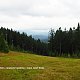 Jiřina na vrcholu Jelení skalka (29.8.2021 11:04)
