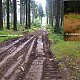 Jiřina na vrcholu Jelení skalka (29.8.2021 11:04)