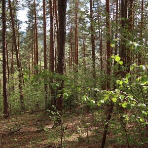 Bouřka na vrcholu Na strání (26.4.2024 16:12)