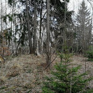 Vladimír Grančay na vrcholu Lštění (25.1.2024 13:56)