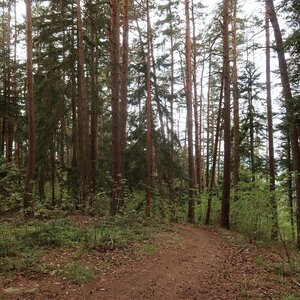 Bouřka na vrcholu Králíčkův vrch (26.4.2024 15:57)