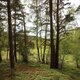 Bouřka na vrcholu Na Brdských - V vrchol (28.4.2024 12:28)