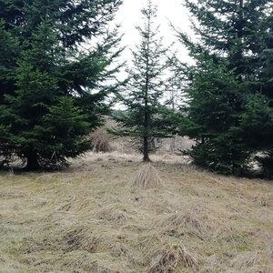 Vladimír Grančay na vrcholu U vodojemu (1.2.2024 14:45)