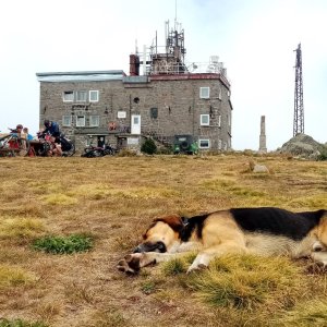 Jiřina on the summit of Černi vrch (18.8.2025 13:28)