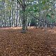 Cyklista 73 na vrcholu Bouřný