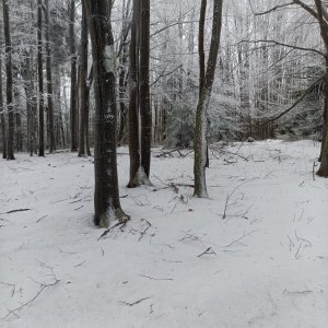 ThrasherVojti na vrcholu Bouřný (29.12.2025 11:38)