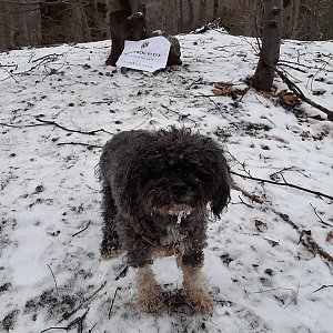 Bohaji na vrcholu Bouřný (1.1.2021 15:41)
