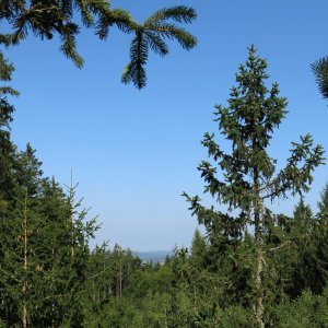 Bouřka on the summit of Palcíř SZ3 (3.8.2026 9:38)