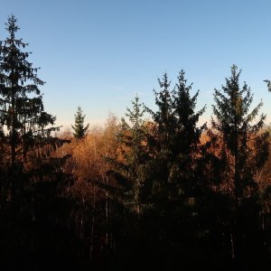 Bouřka on the summit of Palcíř SV (28.10.2024 14:46)