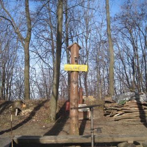 ZdenkaV on the summit of Two Fevers (30.1.2025 12:34)