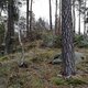 Vladimír Grančay on peak Skalka SZ1 (2.2.2024)